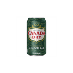 Ginger Ale 12fl.oz