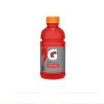 Gatorade Fruit Punch 12fl.oz