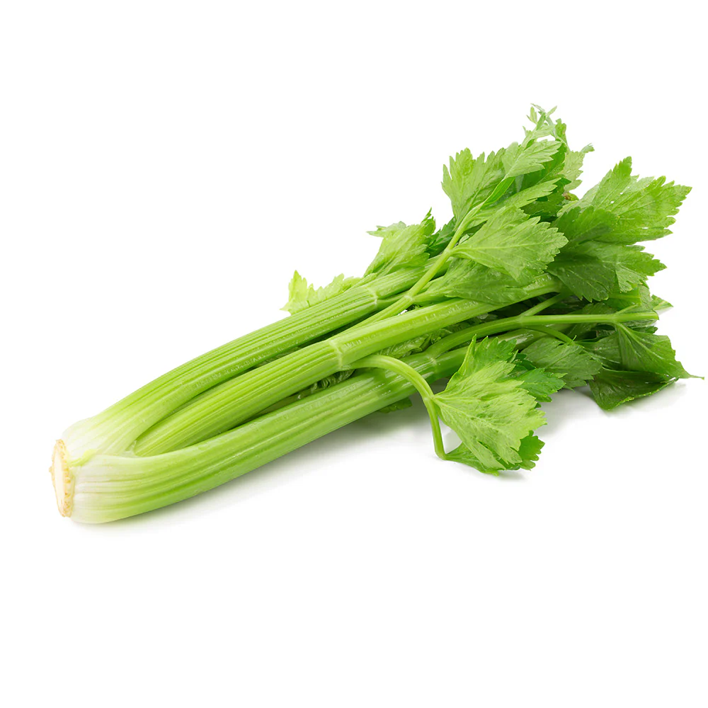 Celery 1 Bunch Celery 1 Bunch - Image 1