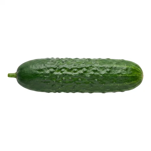 Cucumber 1 Count Cucumber 1 Count - Image 1