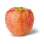 Honeycrisp Apple