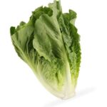 Romaine Lettuce 1 Head