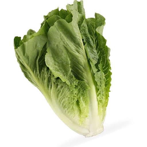 Romaine Lettuce 1 Head - Image 1