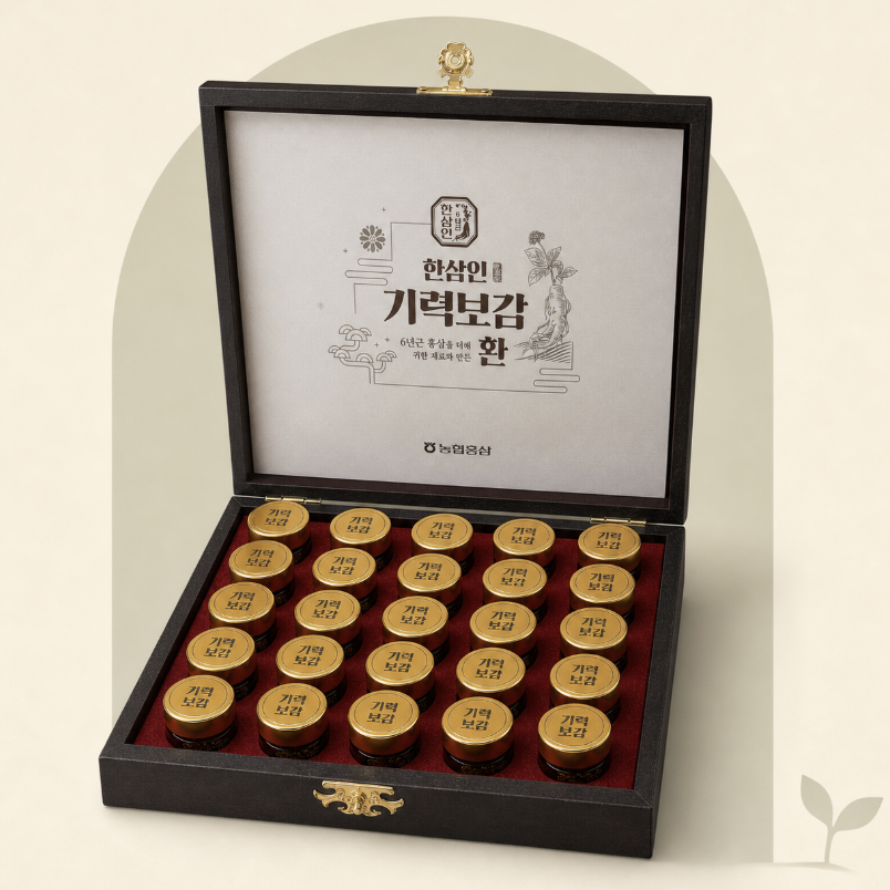 Hansamin Gireok Bogam Hwan 한삼인 기력보감 환 - Image 1